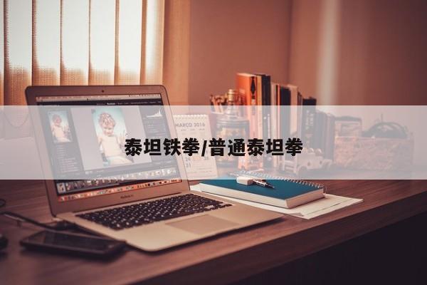 泰坦鐵拳/普通泰坦拳
