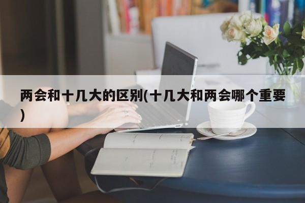 兩會和十幾大的區(qū)別(十幾大和兩會哪個重要)
