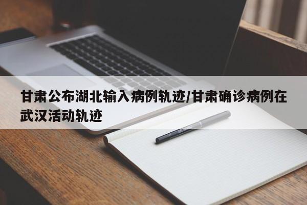 甘肅公布湖北輸入病例軌跡/甘肅確診病例在武漢活動(dòng)軌跡
